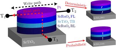 Anisotropy and Current Control of Magnetization in SrRuO3/SrTiO3 Heterostructures for Spin-Memristors
